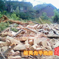 湘西红网百姓呼声龙山,龙山百姓心声汇聚，共谋发展大计