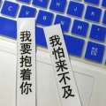 网红文字大全,捕捉时代潮流的精彩瞬间